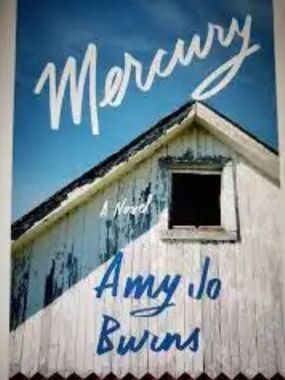 🆕 Mercury by Amy Jo Burns 1st Edition Book